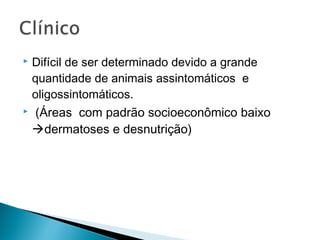    Difícil de ser determinado devido a grande
    quantidade de animais assintomáticos e
    oligossintomáticos.
   (Áreas com padrão socioeconômico baixo
    dermatoses e desnutrição)
 