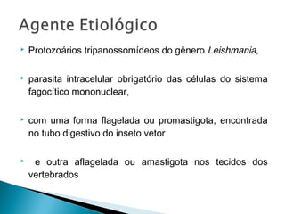    Protozoários tripanossomídeos do gênero Leishmania,

   parasita intracelular obrigatório das células do sistema
    fagocítico mononuclear,

   com uma forma flagelada ou promastigota, encontrada
    no tubo digestivo do inseto vetor

    e outra aflagelada ou amastigota nos tecidos dos
    vertebrados
 