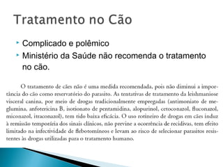  Complicado e polêmico
 Ministério da Saúde não recomenda o tratamento

  no cão.
 