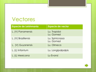 Vectores
Especie de Leishmania   Especie de vector

L. (V) Panamensis       Lu. Trapidoi
                        Lu. Gomezi
L. (V) Braziliensis     Lu. Spinicrassa
                        Lu. Gomezi
L. (V) Guyanensis       Lu. Olmeca

L. (L) Infantum         Lu. Longipalpalpis

L. (L) Mexicana         Lu Evansi
 