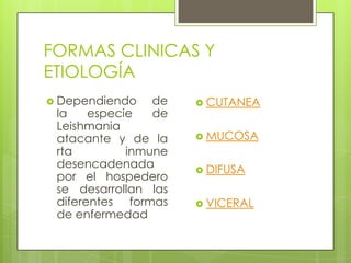 FORMAS CLINICAS Y
ETIOLOGÍA
 Dependiendo   de     CUTANEA
 la    especie  de
 Leishmania
 atacante y de la      MUCOSA
 rta         inmune
 desencadenada         DIFUSA
 por el hospedero
 se desarrollan las
 diferentes formas     VICERAL
 de enfermedad
 