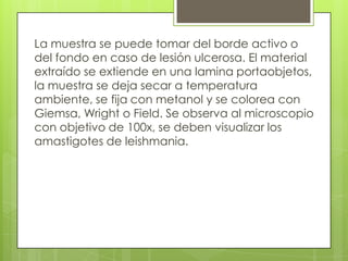 La muestra se puede tomar del borde activo o
del fondo en caso de lesión ulcerosa. El material
extraído se extiende en una lamina portaobjetos,
la muestra se deja secar a temperatura
ambiente, se fija con metanol y se colorea con
Giemsa, Wright o Field. Se observa al microscopio
con objetivo de 100x, se deben visualizar los
amastigotes de leishmania.
 