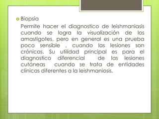  Biopsia
 Permite hacer el diagnostico de leishmaniasis
 cuando se logra la visualización de los
 amastigotes, pero en general es una prueba
 poco sensible , cuando las lesiones son
 crónicas. Su utilidad principal es para el
 diagnostico diferencial         de las lesiones
 cutáneas       cuando se trata de entidades
 clínicas diferentes a la leishmaniosis.
 