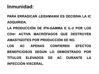 KINETOPLASTO EN FORMA DE BARRAAMASTIGOTES: