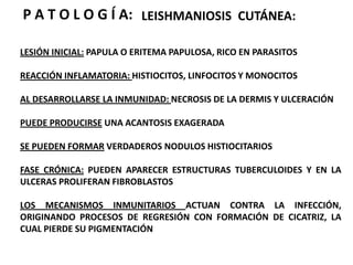 M O R F O L O G Í A:SE ENCUENTRAN EN EL HUESPED INVERTEBRADO