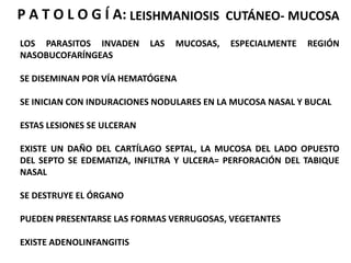 ES LA FORMA PARASITARIA INFECTANTE