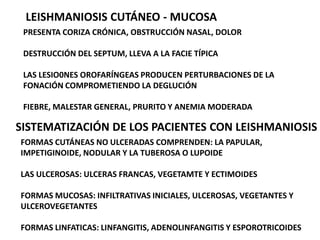 NUCLEO UBICADO EN LA PARTE MEDIA DEL CUERPO