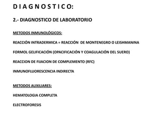 EL FLAGELO LE CONFIERE EL MOVIMIENTOPROMASTIGOTES: