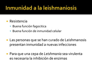 Inmunidad a la leishmaniosisResistencia Buena función fagociticaBuena función de inmunidad celularLas personas que se han curado de Leishmanosis presentan inmunidad a nuevas infeccionesPara que una cepa de Leishmania sea virulenta es necesaria la inhibición de enzimas