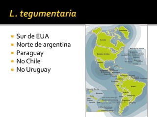 L. tegumentaria Sur de EUANorte de argentinaParaguayNo ChileNo Uruguay