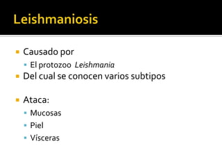 LeishmaniosisCausado por El protozoo  LeishmaniaDel cual se conocen varios subtiposAtaca:MucosasPiel Vísceras