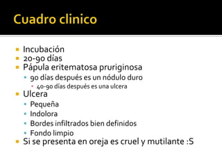 Cuadro clinicoIncubación 20-90 díasPápula eritematosa pruriginosa90 días después es un nódulo duro40-90 días después es una ulcera Ulcera Pequeña IndoloraBordes infiltrados bien definidosFondo limpioSi se presenta en oreja es cruel y mutilante :S