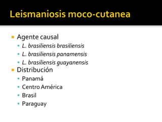 Leismaniosis moco-cutaneaAgente causalL. brasiliensisbrasiliensisL. brasiliensispanamensisL. brasiliensisguayanensisDistribuciónPanamá Centro AméricaBrasilParaguay