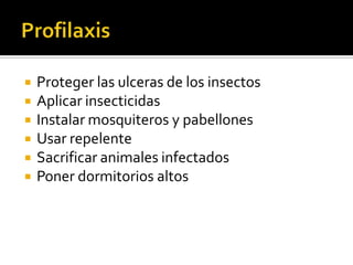 Profilaxis Proteger las ulceras de los insectosAplicar insecticidasInstalar mosquiteros y pabellonesUsar repelenteSacrificar animales infectadosPoner dormitorios altos