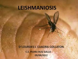 LEISHMANIOSIS




D’LOURDES I. CUADRA COLLATON
    C.S. PEDRO RUIZ GALLO
            09/08/2012
 