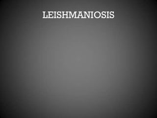 LEISHMANIOSIS
 
