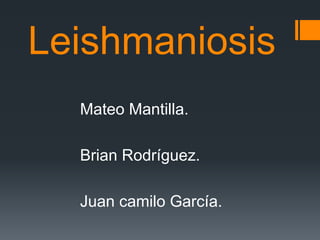 Leishmaniosis
Mateo Mantilla.
Brian Rodríguez.
Juan camilo García.
 