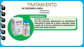 Ampolla con 50mg.
Las dos primeras aplicaciones se administran
solamente la mitad de la dosis calculada, luego
a partir de la tercera aplicación se administra la
dosis total hasta terminar.
DE SEGUNDA LINEA:
• Anfotericina
• Pentamidina
 