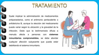 Suele implicar la administración de medicamentos
antiparasitarios, como el antimonio pentavalente o
anfotericina B, aunque la elección del medicamento
puede variar según la ubicación y la gravedad de la
infección. Dado que la leishmaniosis difusa a
menudo afecta a personas con sistemas
inmunitarios comprometidos, se debe abordar
cualquier afección subyacente que pueda estar
debilitando el sistema inmunitario.
 