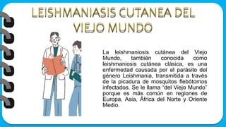 La leishmaniosis cutánea del Viejo
Mundo, también conocida como
leishmaniosis cutánea clásica, es una
enfermedad causada por el parásito del
género Leishmania, transmitida a través
de la picadura de mosquitos flebótomos
infectados. Se le llama “del Viejo Mundo”
porque es más común en regiones de
Europa, Asia, África del Norte y Oriente
Medio.
 