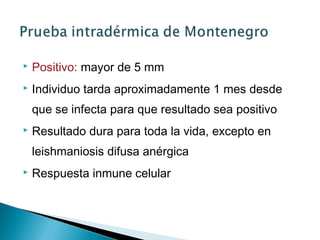  Positivo: mayor de 5 mm
 Individuo tarda aproximadamente 1 mes desde
que se infecta para que resultado sea positivo
 Resultado dura para toda la vida, excepto en
leishmaniosis difusa anérgica
 Respuesta inmune celular
 