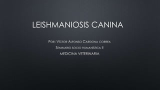 LEISHMANIOSIS CANINA
 