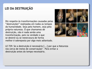 LEI DA DESTRUIÇÃO Diz respeito às transformações causadas pelas  “ destruições” realizadas em todos os tempos  da humanidade. Seja pelo homem, seja pela própria natureza. O que chamamos de  destruição, não é nada senão uma transformação, pois na verdade o que  se destrói ou se reestrutura de forma  melhor é sobreposta por algo mais adiantado.  LE 729: Se a destruição é necessária [...] por que a Natureza nos cerca de meios de conservação? – Para evitar a destruição antes do tempo necessário.  