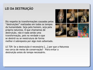 LEI DA DESTRUIÇÃO
Diz respeito às transformações causadas pelas
“destruições” realizadas em todos os tempos
da humanidade. Seja pelo homem, seja pela
própria natureza. O que chamamos de
destruição, não é nada senão uma
transformação, pois na verdade o que
se destrói ou se reestrutura de forma
melhor é sobreposta por algo mais adiantado.
LE 729: Se a destruição é necessária [...] por que a Natureza
nos cerca de meios de conservação? – Para evitar a
destruição antes do tempo necessário.
 