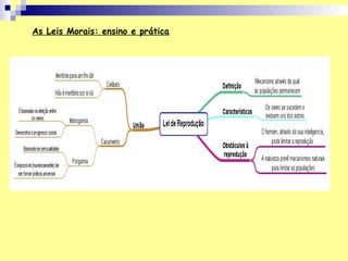 As Leis Morais: ensino e prática
 