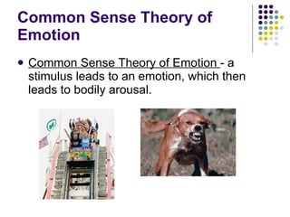 Common Sense Theory of Emotion Common Sense Theory of Emotion  - a stimulus leads to an emotion, which then leads to bodily arousal. 