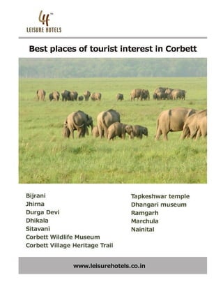 Best Places of tourist interest in corbett