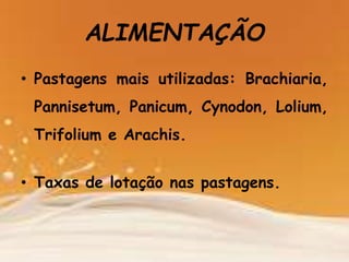 • Pastagens mais utilizadas: Brachiaria,
Pannisetum, Panicum, Cynodon, Lolium,
Trifolium e Arachis.
• Taxas de lotação nas pastagens.
ALIMENTAÇÃO
 