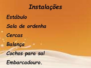 Instalações
Estábulo
Sala de ordenha
Cercas
Balança
Cochos para sal
Embarcadouro.
 