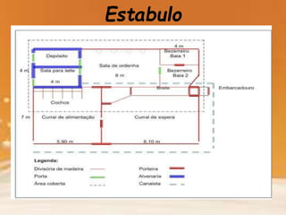Estabulo
 