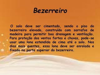 Bezerreiro
O solo deve ser cimentado, sendo o piso do
bezerreiro elevado, construído com sarrafos de
madeira para permitir boa drenagem e ventilação.
Para proteção dos ventos fortes e chuvas, pode-se
usar uma lona estendida de cima até o solo. Nos
dias mais quentes, essa lona deve ser enrolada e
fixada na parte superior do bezerreiro.
 