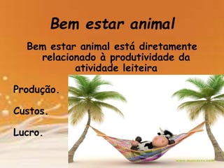 Bem estar animal
Bem estar animal está diretamente
relacionado à produtividade da
atividade leiteira
Produção.
Custos.
Lucro.
 