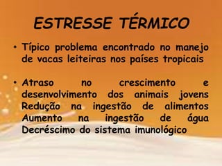 ESTRESSE TÉRMICO
• Típico problema encontrado no manejo
de vacas leiteiras nos países tropicais
• Atraso no crescimento e
desenvolvimento dos animais jovens
Redução na ingestão de alimentos
Aumento na ingestão de água
Decréscimo do sistema imunológico
 