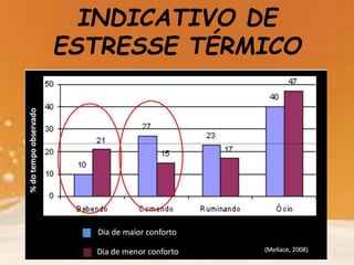INDICATIVO DE
ESTRESSE TÉRMICO
 