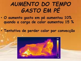 AUMENTO DO TEMPO
GASTO EM PÉ
• O aumento gasto em pé aumentou 10%
quando a carga de calor aumentou 15 %
• Tentativa de perder calor por convecção
 