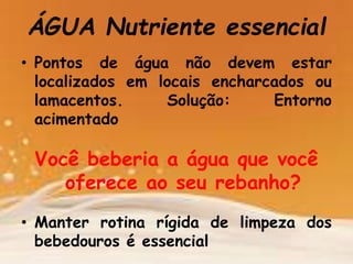 ÁGUA Nutriente essencial
• Pontos de água não devem estar
localizados em locais encharcados ou
lamacentos. Solução: Entorno
acimentado
Você beberia a água que você
oferece ao seu rebanho?
• Manter rotina rígida de limpeza dos
bebedouros é essencial
 