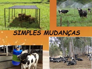 SIMPLES MUDANÇAS
 