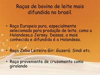 Raças de bovino de leite mais
difundida no brasil.
• Raça Europeia pura, especialmente
selecionada para produção de leite, como a
Holandesa,a Jersey. Dessas, a mais
conhecida e difundida é a Holandesa.
• Raça Zebu Leiteira Gir; Guzerá; Sindi etc.
• Raça proveniente de cruzamento como
girolando
 
