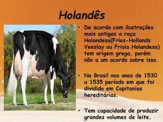 Holandês
• De acordo com ilustrações
mais antigas a raça
Holandesa(Fries-Hollands
Veeslay ou Frisia Holandesa)
tem origem grega, porém
não a um acordo sobre isso.
• No Brasil nos anos de 1530
a 1535 período em que foi
dividido em Capitanias
hereditárias.
• Tem capacidade de produzir
grandes volumes de leite.
 