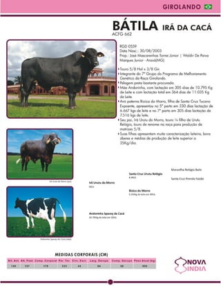 Raçadores Girolando para leite 2009 