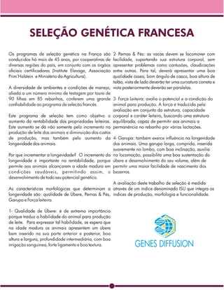 Raçadores Normando para leite 2009 