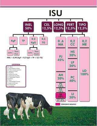 Raçadores Normando para leite 2009 