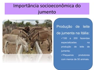 Importância socioeconômica do
jumento
Produção de leite
de jumenta na Itália:
100 a 200 fazendas
especializadas na
produção de leite de
jumenta;
Pequenos produtores
com menos de 50 animais.
 