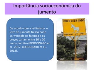 Importância socioeconômica do
jumento
De acordo com a lei Italiana, o
leite de jumenta fresco pode
ser vendido na fazenda e os
preços variam entre 10 e 20
euros por litro (BORDONARO et
al., 2012: BORDONARO et al.,
2013).
 