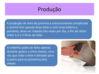 Produção
A produção de leite de jumenta é extremamente complicada
o animal tem apenas duas tetas e sem reservatório e,
portanto, deve ser tratada três vezes por dia, a fim de obter
entre 1,5 e 2 litros de leite.
A ordenha pode ser feito apenas
durante quatro a cinco meses, uma
vez que todo o leite é deixado para
o potro para os primeiros dois
meses.
 