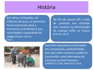 História
Em várias civilizações, há
milhares de anos, os jumentos
foram essenciais para a
economia rural devido à sua
rusticidade e capacidade de
carga (SALIMEI; FANTUZ,
2012).
Esse leite apresenta similaridade
em composição, palatabilidade,
tem alto valor nutritivo e pode ser
consumido como alternativa de
consumo ao leite humano
(CARROCCIO, 2000; MANSUETO, 2013).
No fim do século XIX o leite
de jumenta era utilizado
com sucesso na alimentação
de crianças órfãs na França
(D’Arval ,1912).
 